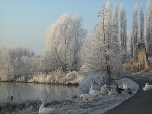 getimage2